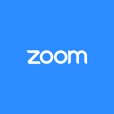 What Really Happens During Zoom Classes?