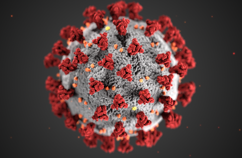 Coronavirus/via NHPR